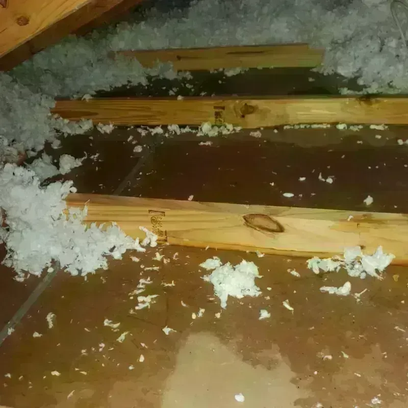 Attic Water Damage in Petersburg, MI