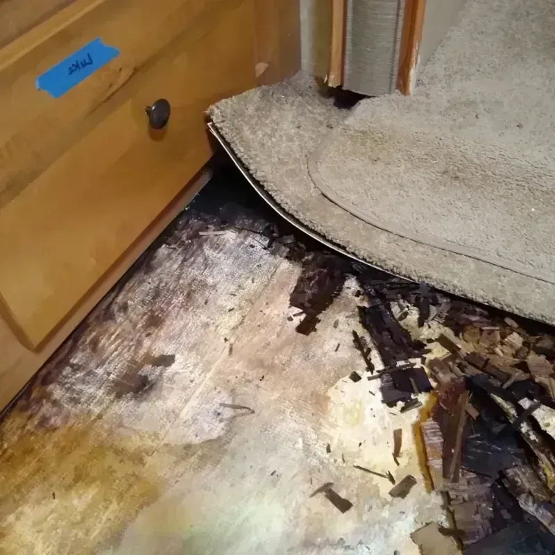 Wood Floor Water Damage in Petersburg, MI